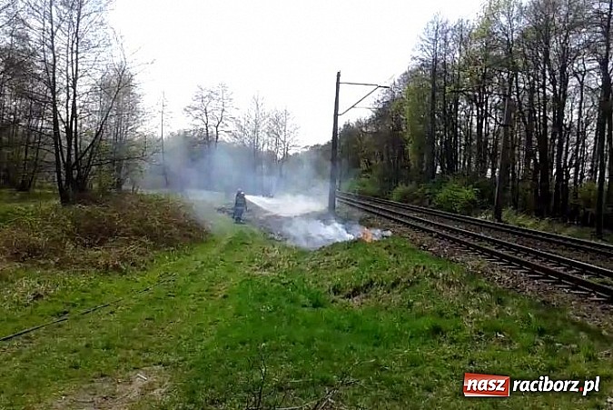 Zdjęcie w galerii na portalu naszraciborz.pl: Uczniowie podczas wycieczki dostrzegli pożar przy Łężczoku  wiadomości z regionu