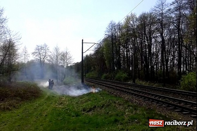 Zdjęcie w galerii na portalu naszraciborz.pl: Uczniowie podczas wycieczki dostrzegli pożar przy Łężczoku  wiadomości z regionu