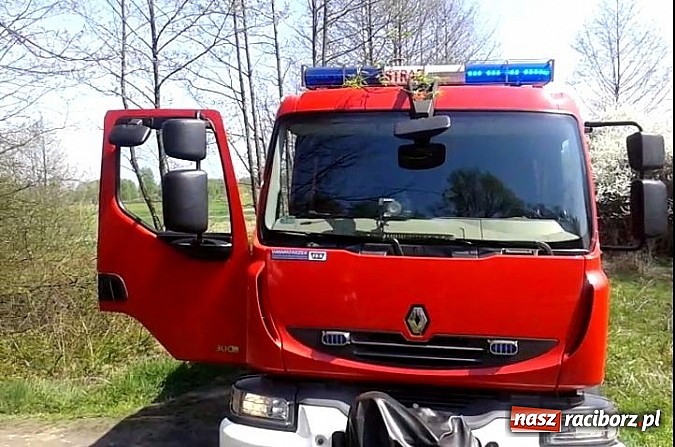 Zdjęcie w galerii na portalu naszraciborz.pl: Uczniowie podczas wycieczki dostrzegli pożar przy Łężczoku  wiadomości z regionu