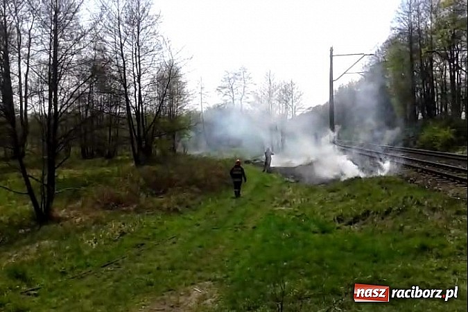 Zdjęcie w galerii na portalu naszraciborz.pl: Uczniowie podczas wycieczki dostrzegli pożar przy Łężczoku  wiadomości z regionu