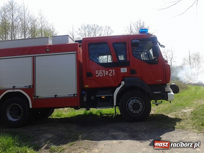Zdjęcie w galerii na portalu naszraciborz.pl: Uczniowie podczas wycieczki dostrzegli pożar przy Łężczoku  wiadomości z regionu