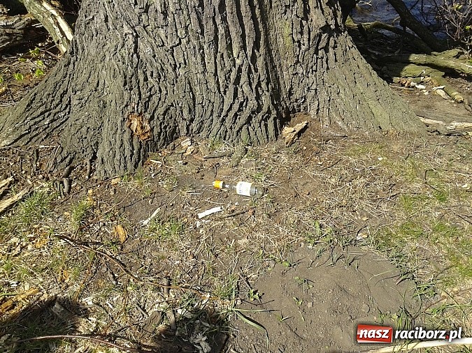 Zdjęcie w galerii na portalu naszraciborz.pl: Uczniowie podczas wycieczki dostrzegli pożar przy Łężczoku  wiadomości z regionu