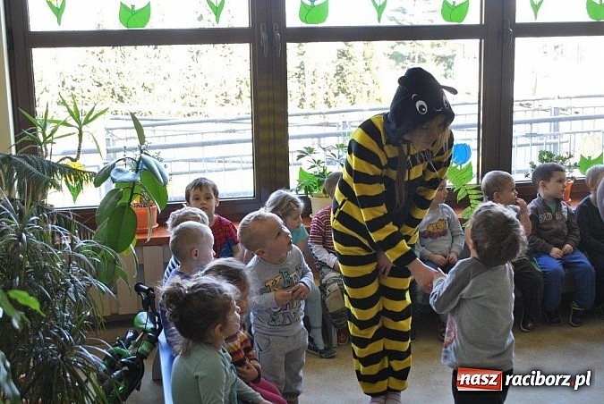 Zdjęcie w galerii na portalu naszraciborz.pl: Uczniowie Budowlanki edukują już w przedszkolu  wiadomości z regionu