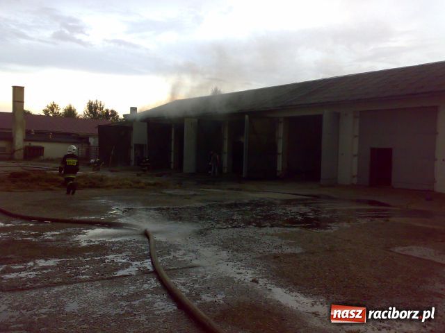 Zdjęcie w galerii na portalu naszraciborz.pl: Jedna nawałnica, NAWAŁ KŁOPOTÓW wiadomości z regionu