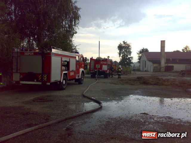 Zdjęcie w galerii na portalu naszraciborz.pl: Jedna nawałnica, NAWAŁ KŁOPOTÓW wiadomości z regionu