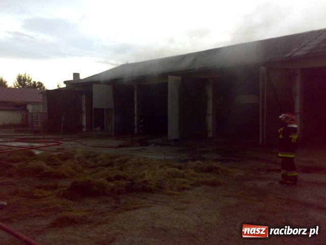 Zdjęcie w galerii na portalu naszraciborz.pl: Jedna nawałnica, NAWAŁ KŁOPOTÓW wiadomości z regionu