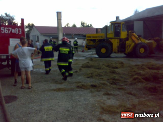 Zdjęcie w galerii na portalu naszraciborz.pl: Jedna nawałnica, NAWAŁ KŁOPOTÓW wiadomości z regionu