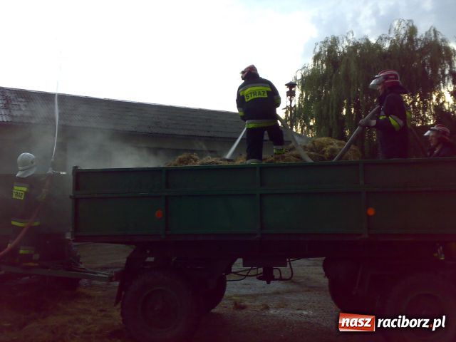 Zdjęcie w galerii na portalu naszraciborz.pl: Jedna nawałnica, NAWAŁ KŁOPOTÓW wiadomości z regionu