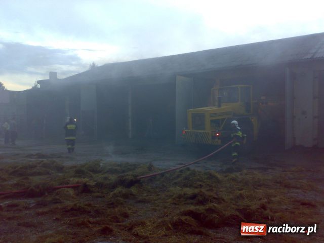 Zdjęcie w galerii na portalu naszraciborz.pl: Jedna nawałnica, NAWAŁ KŁOPOTÓW wiadomości z regionu