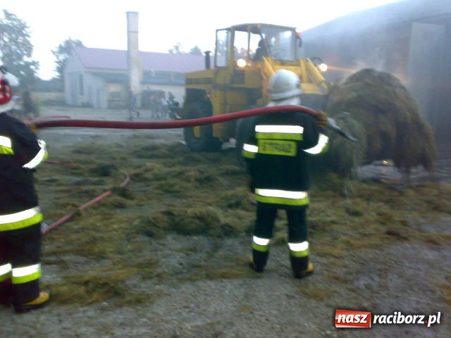 Zdjęcie w galerii na portalu naszraciborz.pl: Jedna nawałnica, NAWAŁ KŁOPOTÓW wiadomości z regionu