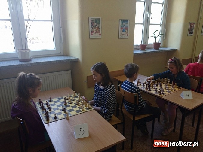 Zdjęcie w galerii na portalu naszraciborz.pl: Mistrzostwa SP4 Racibórz w szachach  wiadomości z regionu