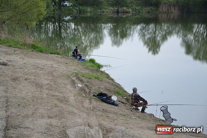 Zdjęcie w galerii na portalu naszraciborz.pl: Krzyżanowice - wędkarze rozpoczęli sezon  wiadomości z regionu