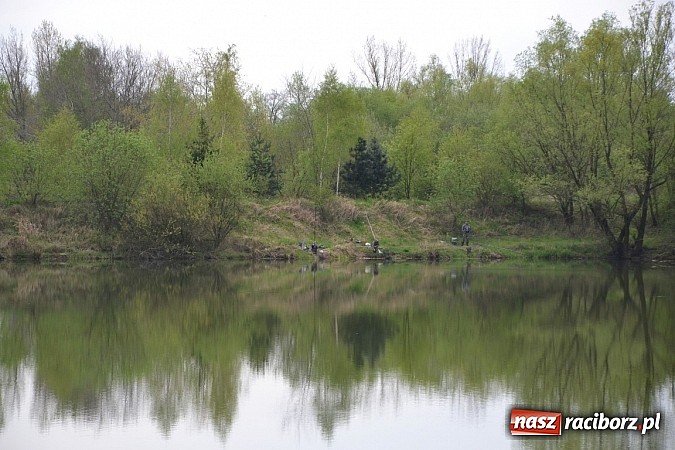 Zdjęcie w galerii na portalu naszraciborz.pl: Krzyżanowice - wędkarze rozpoczęli sezon  wiadomości z regionu