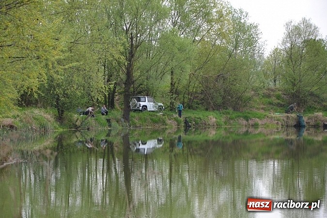 Zdjęcie w galerii na portalu naszraciborz.pl: Krzyżanowice - wędkarze rozpoczęli sezon  wiadomości z regionu