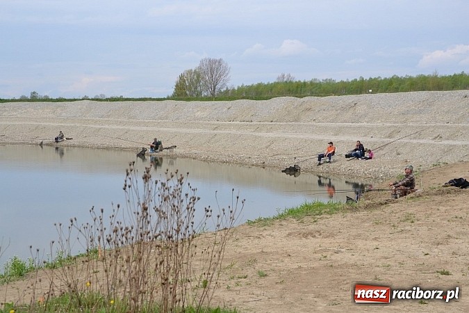 Zdjęcie w galerii na portalu naszraciborz.pl: Krzyżanowice - wędkarze rozpoczęli sezon  wiadomości z regionu