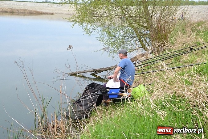 Zdjęcie w galerii na portalu naszraciborz.pl: Krzyżanowice - wędkarze rozpoczęli sezon  wiadomości z regionu