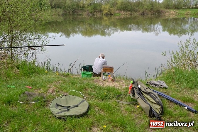 Zdjęcie w galerii na portalu naszraciborz.pl: Krzyżanowice - wędkarze rozpoczęli sezon  wiadomości z regionu
