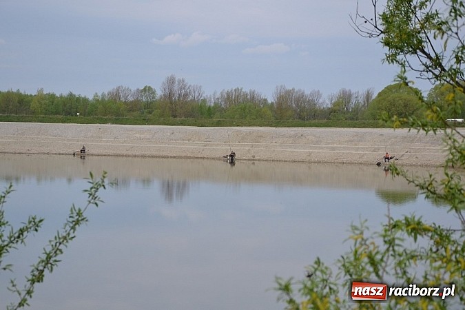 Zdjęcie w galerii na portalu naszraciborz.pl: Krzyżanowice - wędkarze rozpoczęli sezon  wiadomości z regionu