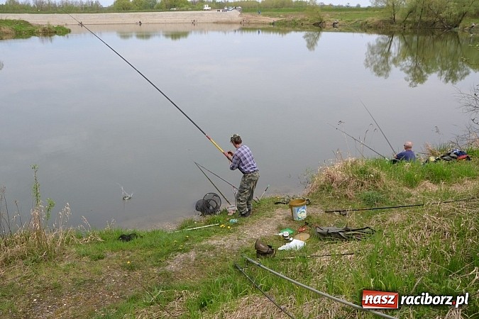 Zdjęcie w galerii na portalu naszraciborz.pl: Krzyżanowice - wędkarze rozpoczęli sezon  wiadomości z regionu