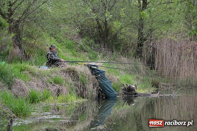 Zdjęcie w galerii na portalu naszraciborz.pl: Krzyżanowice - wędkarze rozpoczęli sezon  wiadomości z regionu