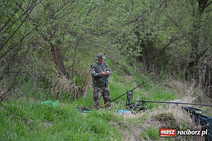 Zdjęcie w galerii na portalu naszraciborz.pl: Krzyżanowice - wędkarze rozpoczęli sezon  wiadomości z regionu