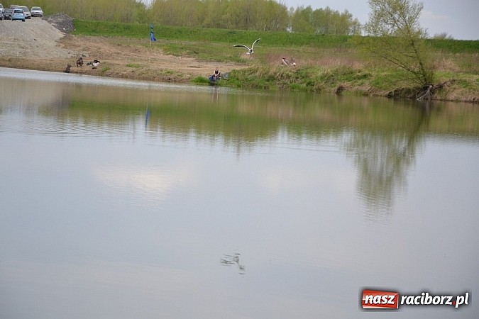 Zdjęcie w galerii na portalu naszraciborz.pl: Krzyżanowice - wędkarze rozpoczęli sezon  wiadomości z regionu