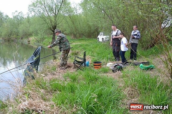 Zdjęcie w galerii na portalu naszraciborz.pl: Krzyżanowice - wędkarze rozpoczęli sezon  wiadomości z regionu