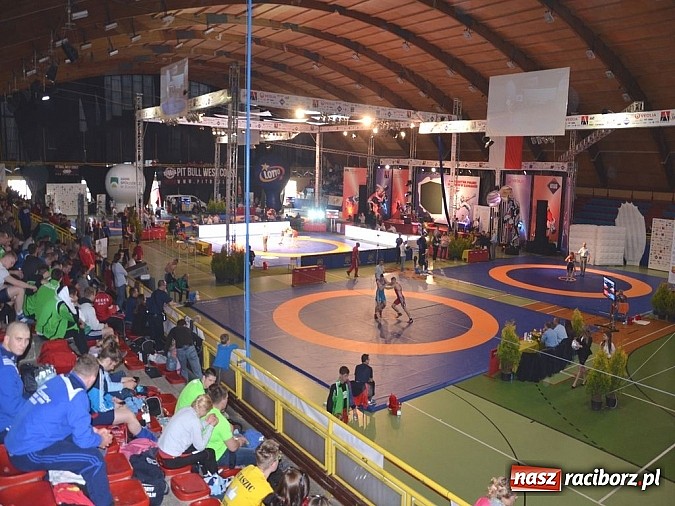 Zdjęcie w galerii na portalu naszraciborz.pl: Mistrzostwa Polski w Zapasach. Złota Arkadiusza Gucika, Agnieszki Kr&oacute;l i Sebastiana Jezierzańskiego wiadomości z regionu