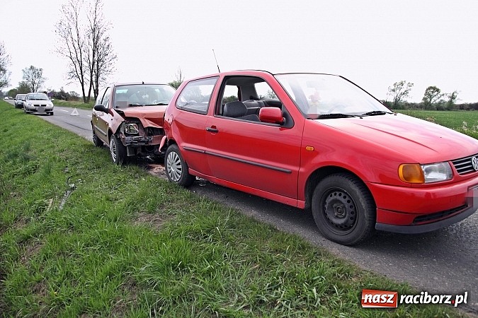 Zdjęcie w galerii na portalu naszraciborz.pl: Sarna powodem kolizji na trasie Racibórz-Zawada Książęca wiadomości z regionu