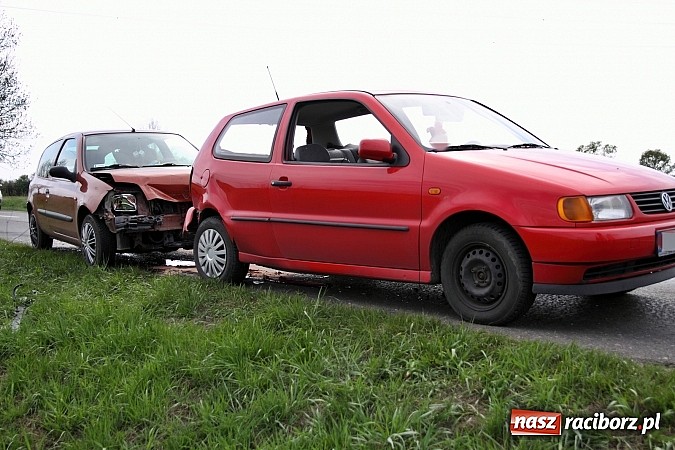 Zdjęcie w galerii na portalu naszraciborz.pl: Sarna powodem kolizji na trasie Racibórz-Zawada Książęca wiadomości z regionu