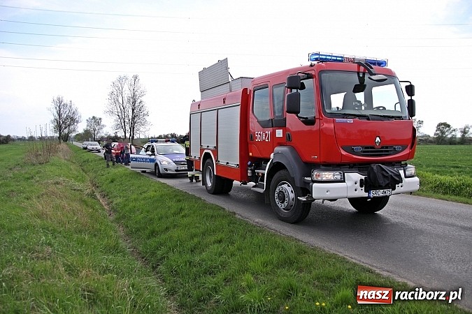 Zdjęcie w galerii na portalu naszraciborz.pl: Sarna powodem kolizji na trasie Racibórz-Zawada Książęca wiadomości z regionu