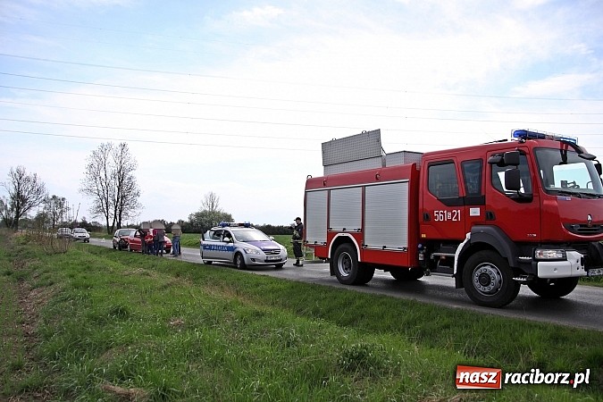 Zdjęcie w galerii na portalu naszraciborz.pl: Sarna powodem kolizji na trasie Racibórz-Zawada Książęca wiadomości z regionu