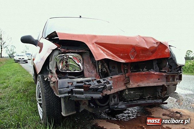 Zdjęcie w galerii na portalu naszraciborz.pl: Sarna powodem kolizji na trasie Racibórz-Zawada Książęca wiadomości z regionu