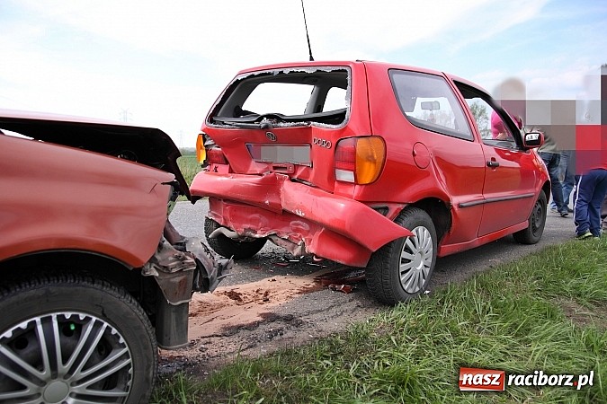Zdjęcie w galerii na portalu naszraciborz.pl: Sarna powodem kolizji na trasie Racibórz-Zawada Książęca wiadomości z regionu