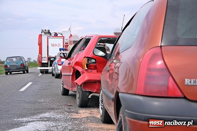 Zdjęcie w galerii na portalu naszraciborz.pl: Sarna powodem kolizji na trasie Racibórz-Zawada Książęca wiadomości z regionu