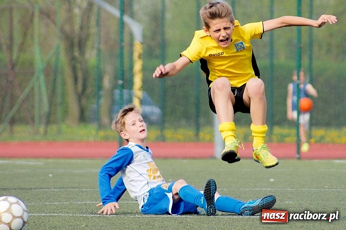 Zdjęcie w galerii na portalu naszraciborz.pl: Kuźniańska Stal na kolanach. Cztery trafienia Dawida Kretka wiadomości z regionu