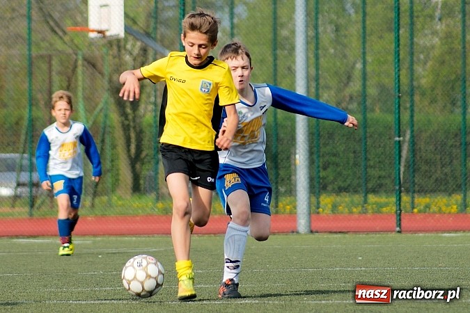 Zdjęcie w galerii na portalu naszraciborz.pl: Kuźniańska Stal na kolanach. Cztery trafienia Dawida Kretka wiadomości z regionu