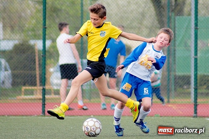 Zdjęcie w galerii na portalu naszraciborz.pl: Kuźniańska Stal na kolanach. Cztery trafienia Dawida Kretka wiadomości z regionu