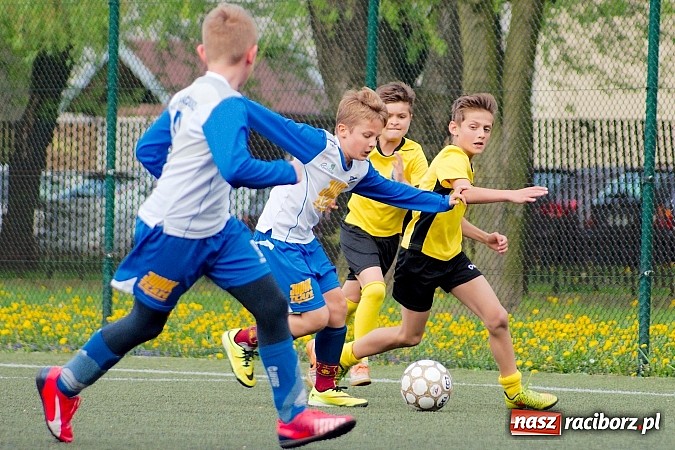 Zdjęcie w galerii na portalu naszraciborz.pl: Kuźniańska Stal na kolanach. Cztery trafienia Dawida Kretka wiadomości z regionu