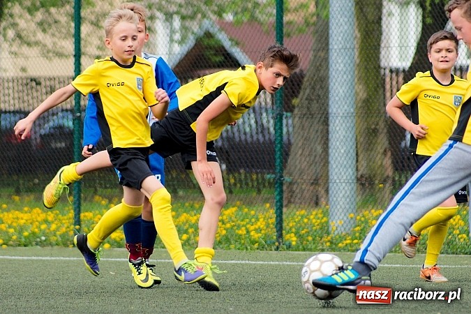 Zdjęcie w galerii na portalu naszraciborz.pl: Kuźniańska Stal na kolanach. Cztery trafienia Dawida Kretka wiadomości z regionu