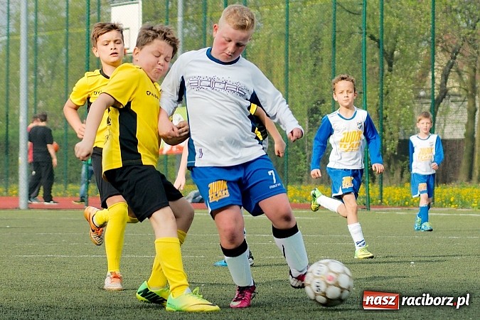 Zdjęcie w galerii na portalu naszraciborz.pl: Kuźniańska Stal na kolanach. Cztery trafienia Dawida Kretka wiadomości z regionu