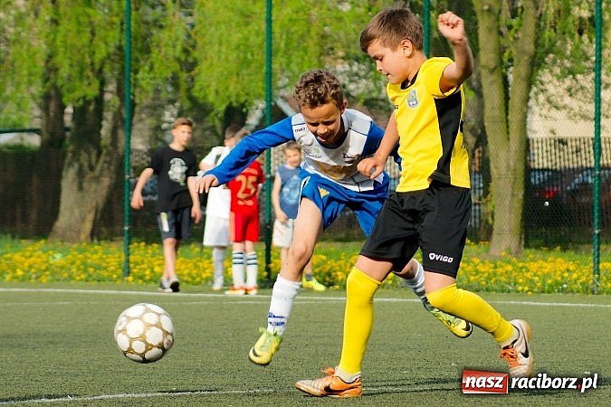 Zdjęcie w galerii na portalu naszraciborz.pl: Kuźniańska Stal na kolanach. Cztery trafienia Dawida Kretka wiadomości z regionu