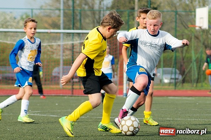Zdjęcie w galerii na portalu naszraciborz.pl: Kuźniańska Stal na kolanach. Cztery trafienia Dawida Kretka wiadomości z regionu