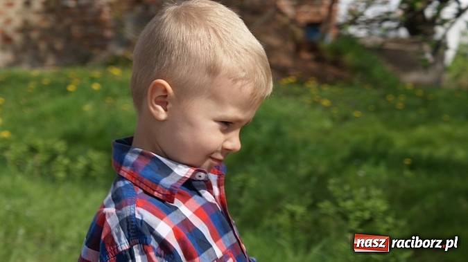 Zdjęcie w galerii na portalu naszraciborz.pl: Parada bajkowych postaci na Światowy Dzień Książki wiadomości z regionu