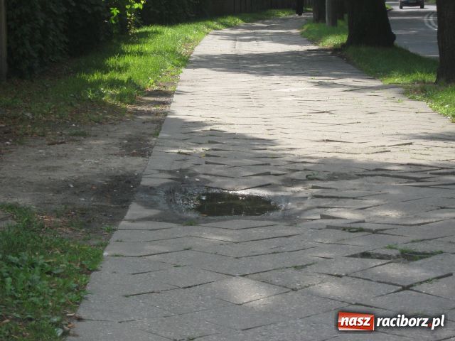 Zdjęcie w galerii na portalu naszraciborz.pl: Można tu sobie nogi POŁAMAĆ wiadomości z regionu