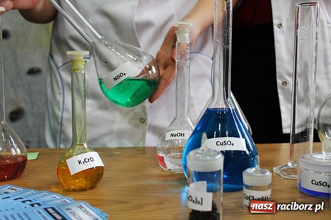 Zdjęcie w galerii na portalu naszraciborz.pl: Wybierz zaw&oacute;d, nie szkołę! wiadomości z regionu