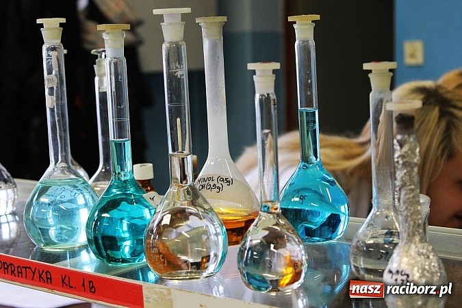 Zdjęcie w galerii na portalu naszraciborz.pl: Wybierz zaw&oacute;d, nie szkołę! wiadomości z regionu