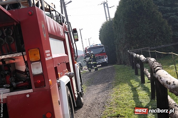 Zdjęcie w galerii na portalu naszraciborz.pl: Polsko-czeskie ćwiczenia strażackie w Kornicach - FOTOREPORTAŻ wiadomości z regionu