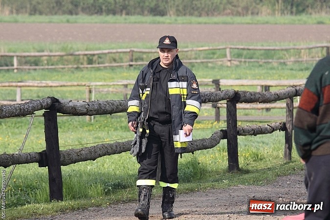 Zdjęcie w galerii na portalu naszraciborz.pl: Polsko-czeskie ćwiczenia strażackie w Kornicach - FOTOREPORTAŻ wiadomości z regionu