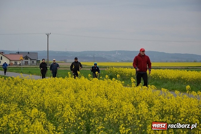 Zdjęcie w galerii na portalu naszraciborz.pl: Inauguracja sezonu rowerowego i nordic walking w gminie Krzyżanowice wiadomości z regionu
